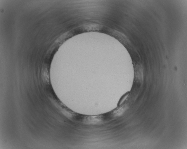 X0000078280622200612011746