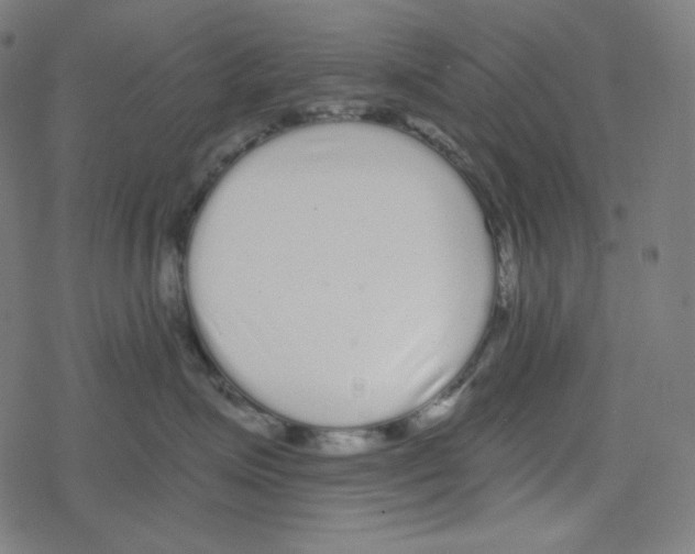 X0000078280623200612011746