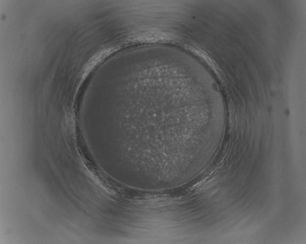 X0000078280626200612011745