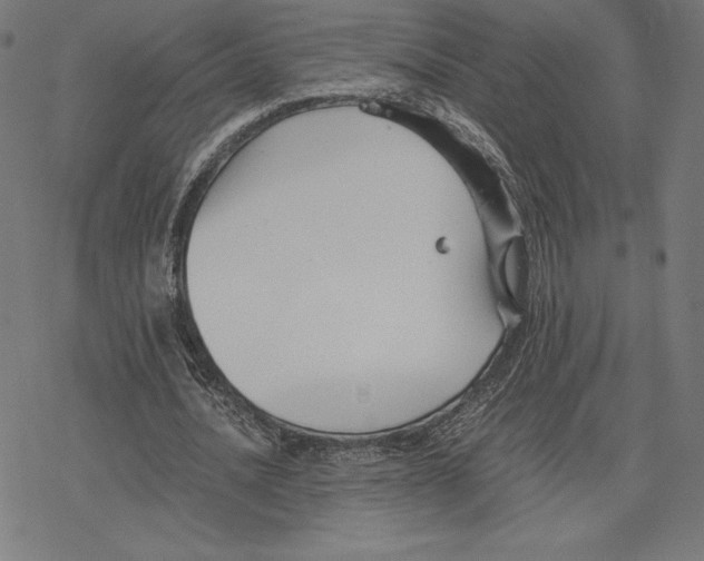 X0000078280628200612011745