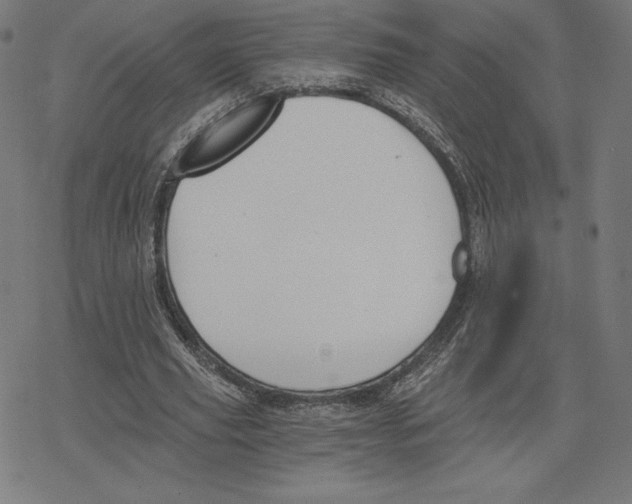 X0000078280629200612011745