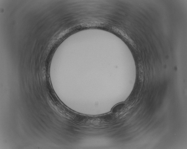 X0000078280631200612011745