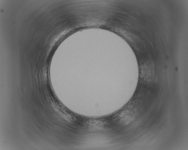 X0000078280632200612011745