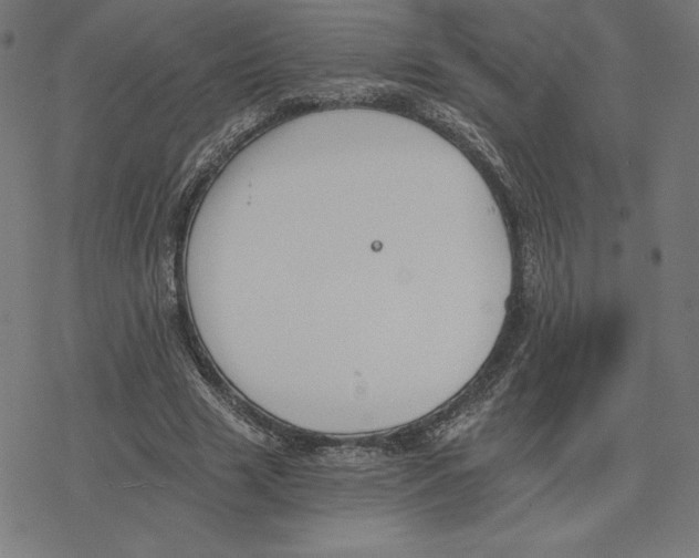 X0000078280633200612011745