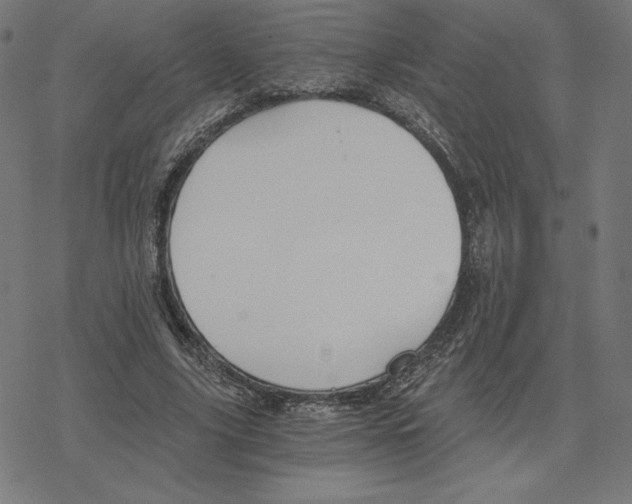 X0000078280635200612011745