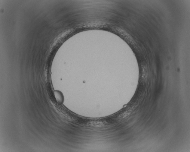 X0000078280636200612011745