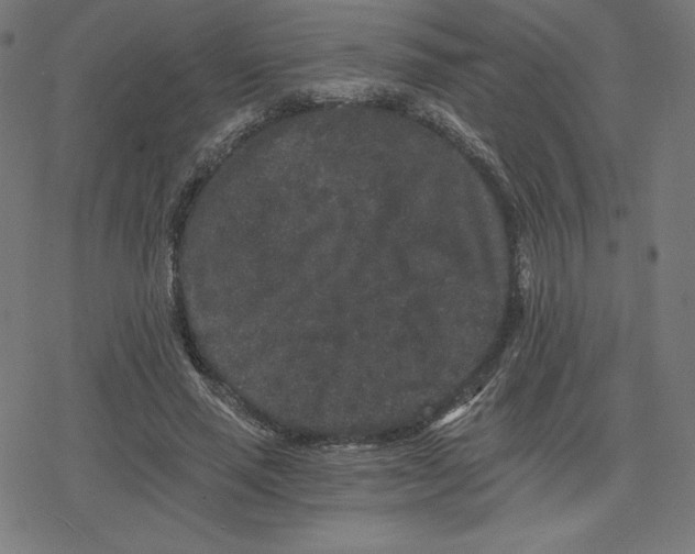 X0000078280637200612011745