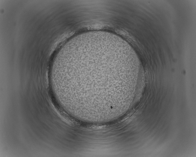 X0000078280638200612011745