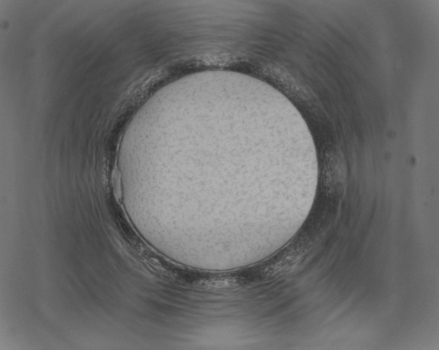 X0000078280639200612011745