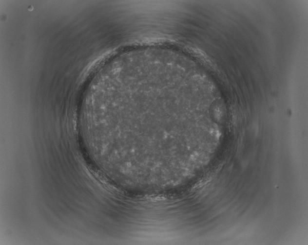 X0000078280640200612011745