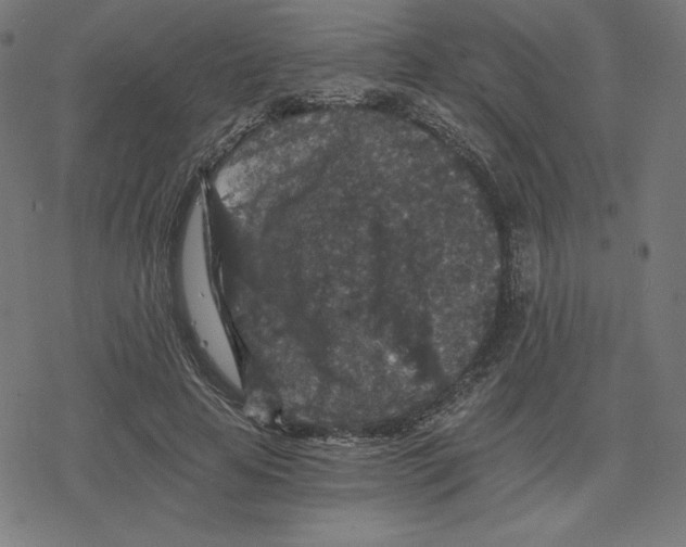 X0000078280641200612011745