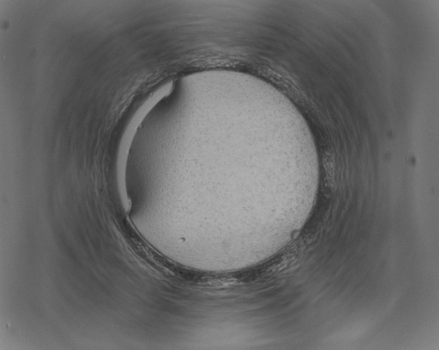 X0000078280642200612011745