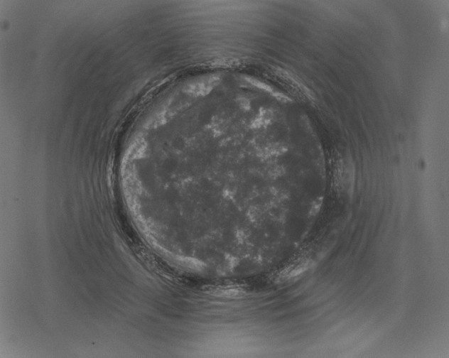 X0000078280643200612011745