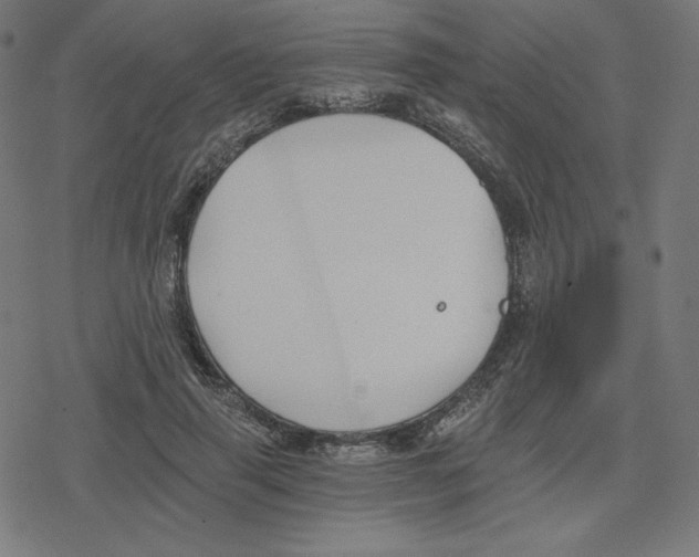 X0000078280645200612011745