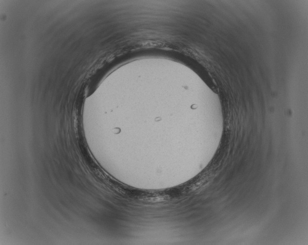 X0000078280646200612011745