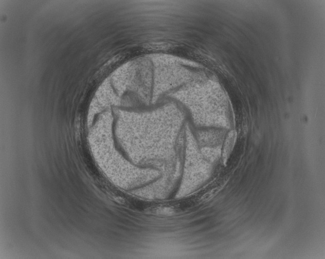 X0000078280647200612011745