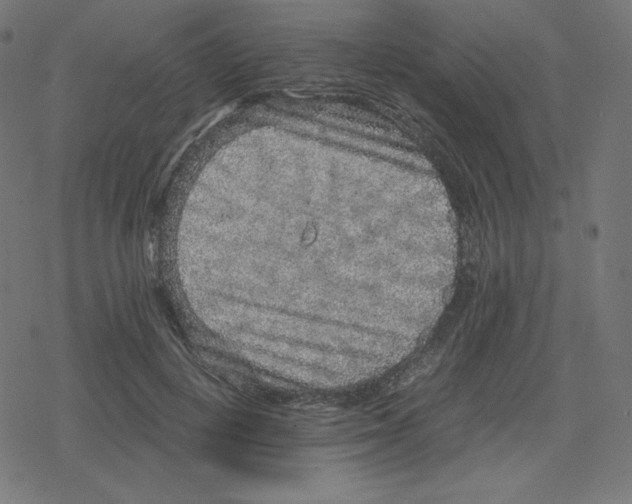 X0000078280648200612011745