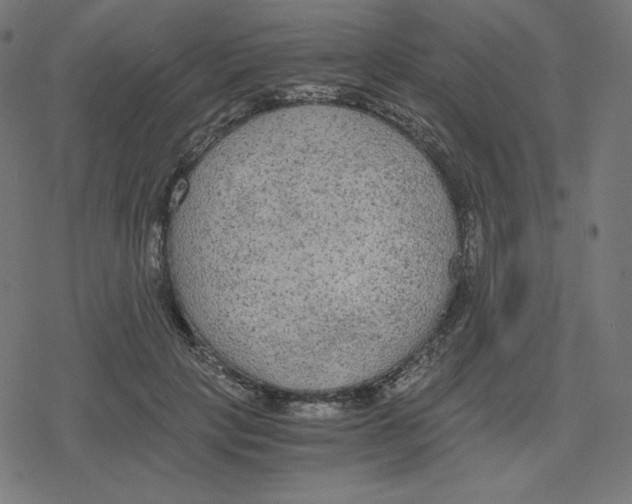 X0000078280649200612011745