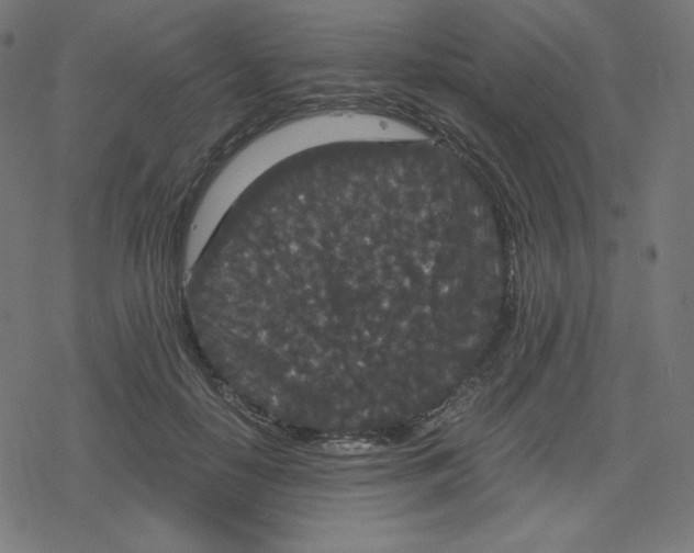 X0000078280650200612011745