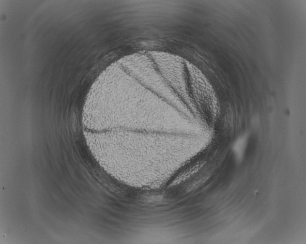 X0000078280651200612011745