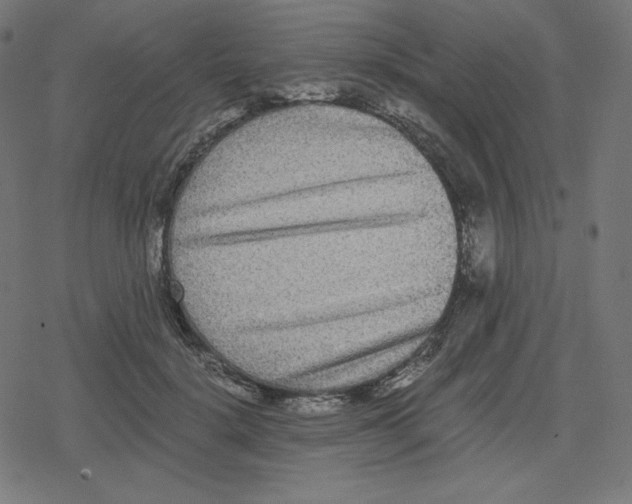 X0000078280652200612011745