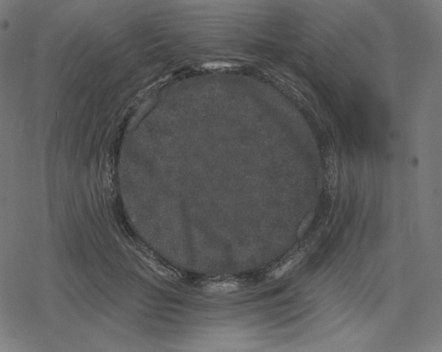 X0000078280653200612011745