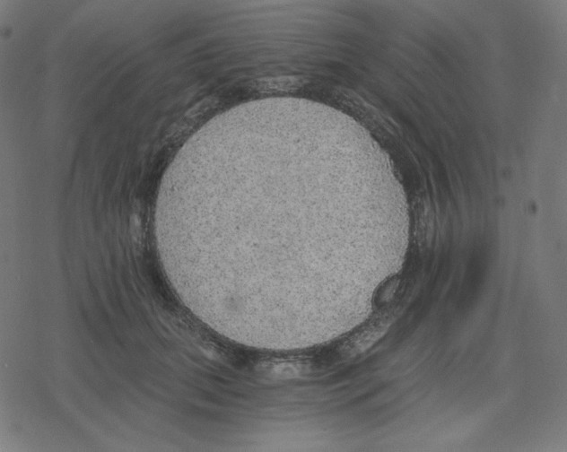 X0000078280655200612011745