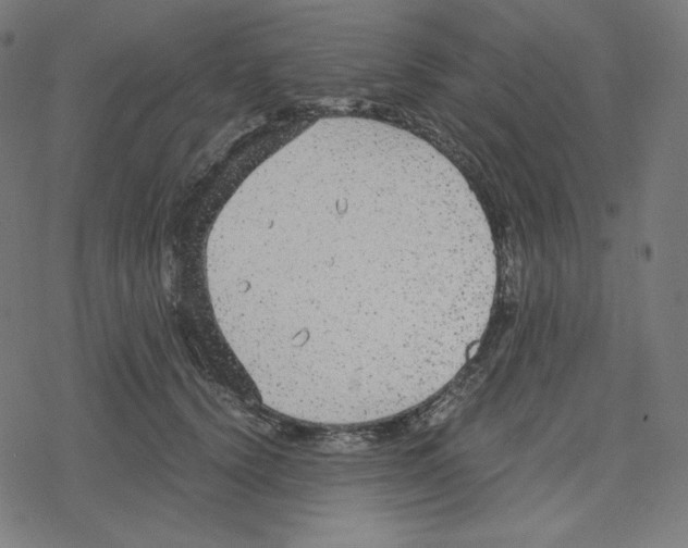 X0000078280656200612011745