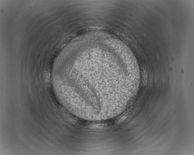 X0000078280657200612011745