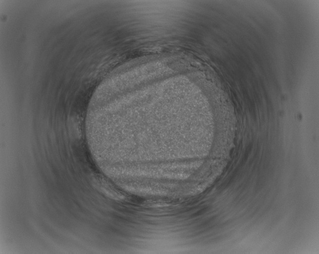 X0000078280658200612011745