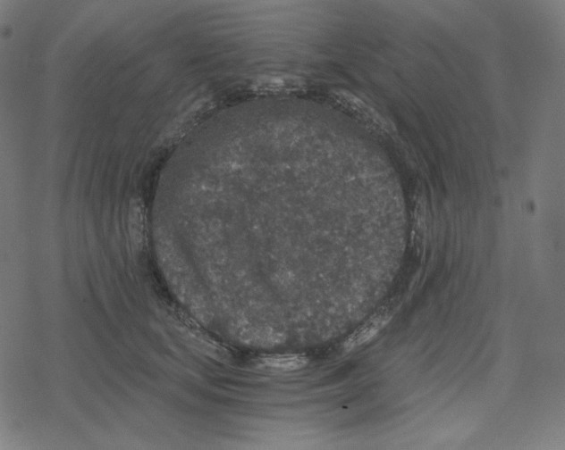 X0000078280659200612011745