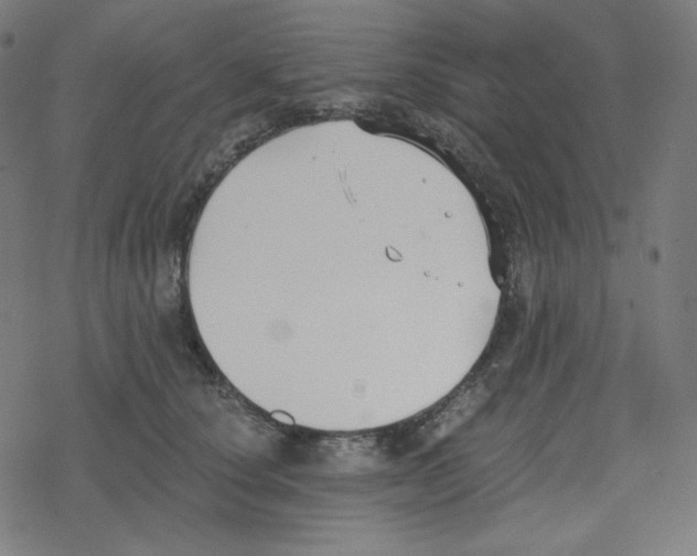 X0000078280660200612011745