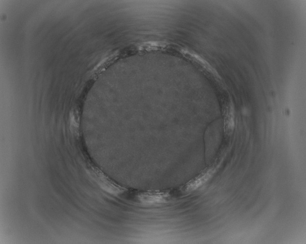 X0000078280661200612011745