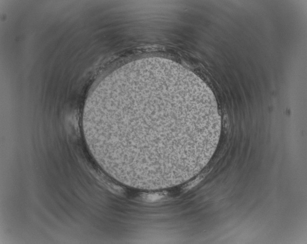 X0000078280662200612011745