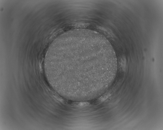 X0000078280663200612011745