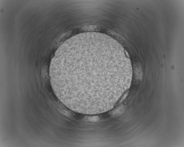 X0000078280665200612011745