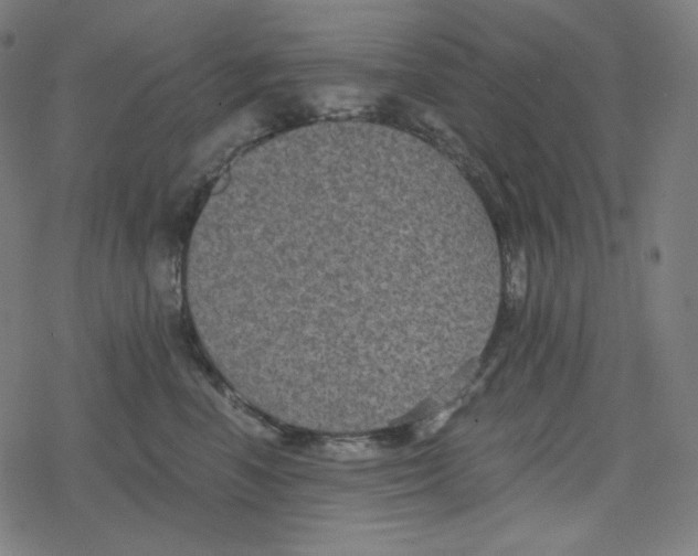 X0000078280666200612011745