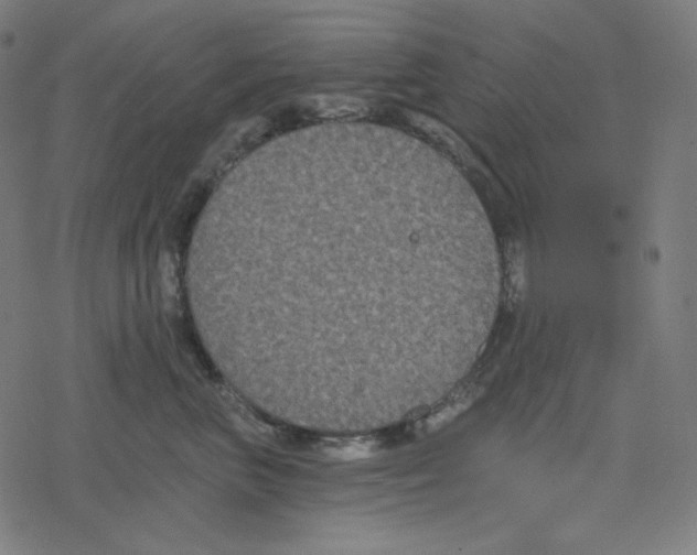 X0000078280667200612011745