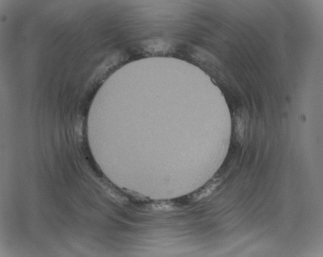 X0000078280668200612011745