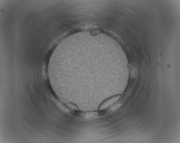 X0000078280670200612011746