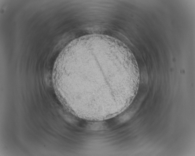 X0000078280671200612011746