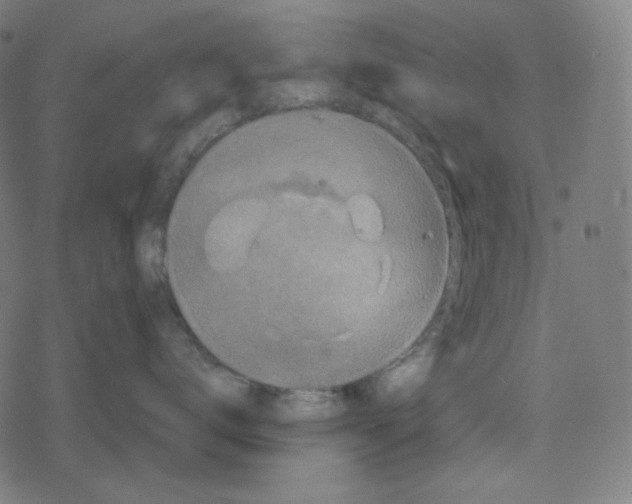 X0000078280672200612011746