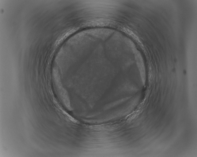 X0000078280673200612011745