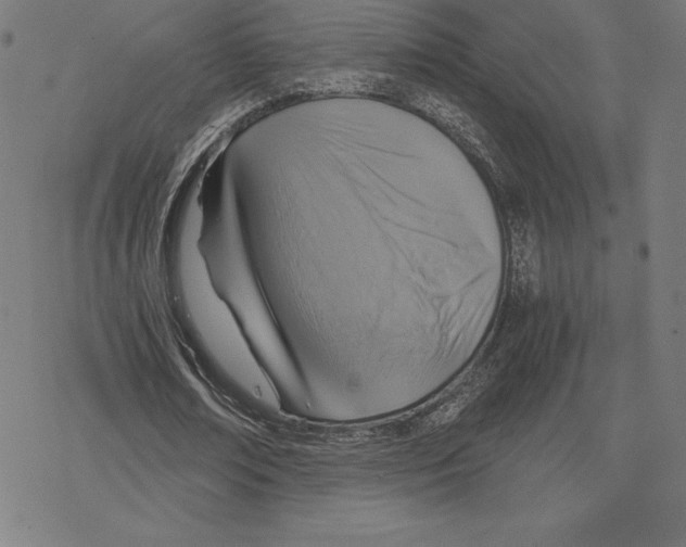 X0000078280674200612011745