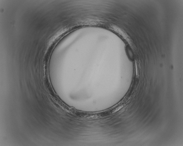 X0000078280675200612011745