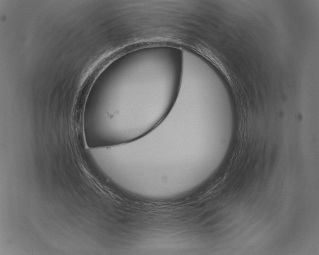 X0000078280676200612011745