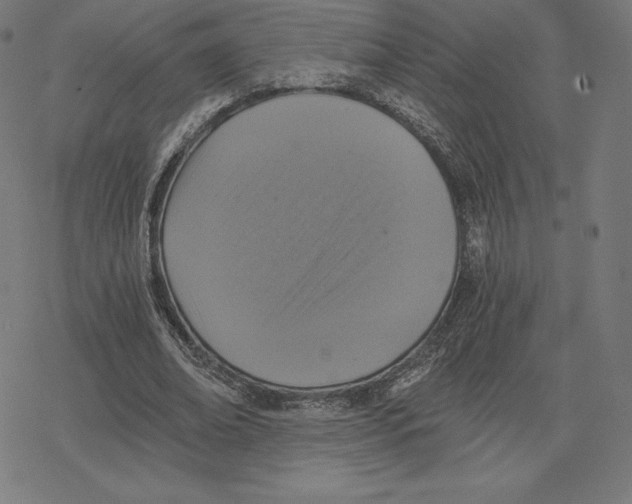 X0000078280678200612011745