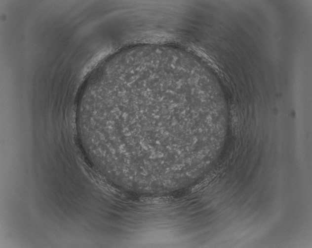 X0000078280679200612011745