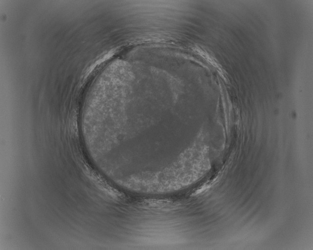 X0000078280681200612011745