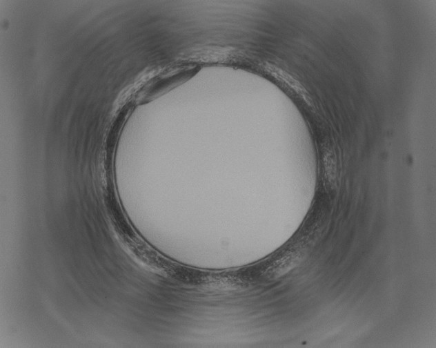 X0000078280682200612011745